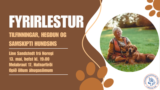 Fyrirlestur með Line Sandstedt