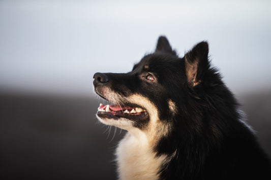 Opið fyrir skráningu í augnskoðun 26.-28. júní