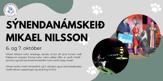 Sýnendanámskeið með Mikael Nilsson