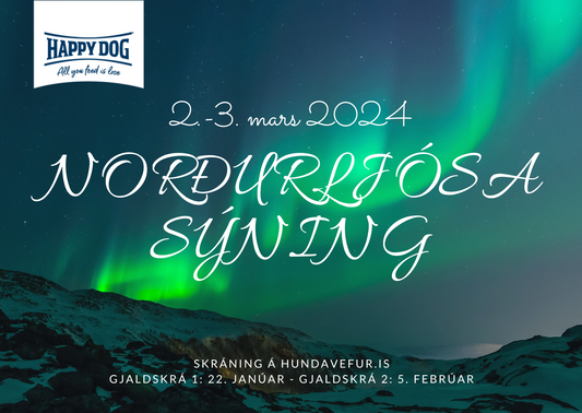 Norðurljósasýning 2.-3. mars