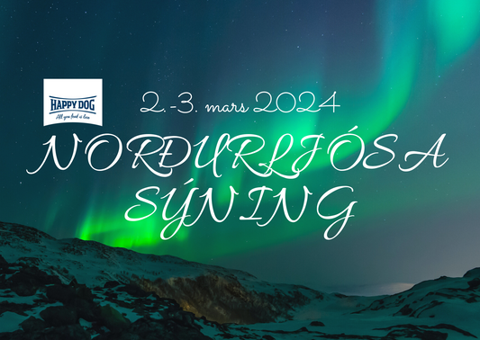 Norðurljósasýning um helgina!