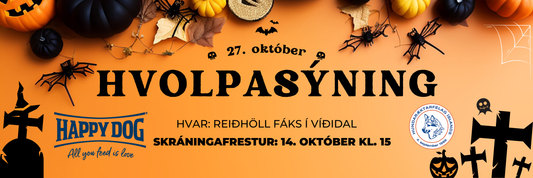 Hvolpasýning 27. október