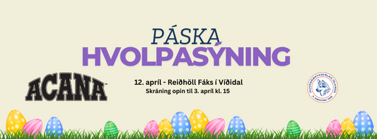Hvolpasýning 12. apríl - Dagskrá og upplýsingar