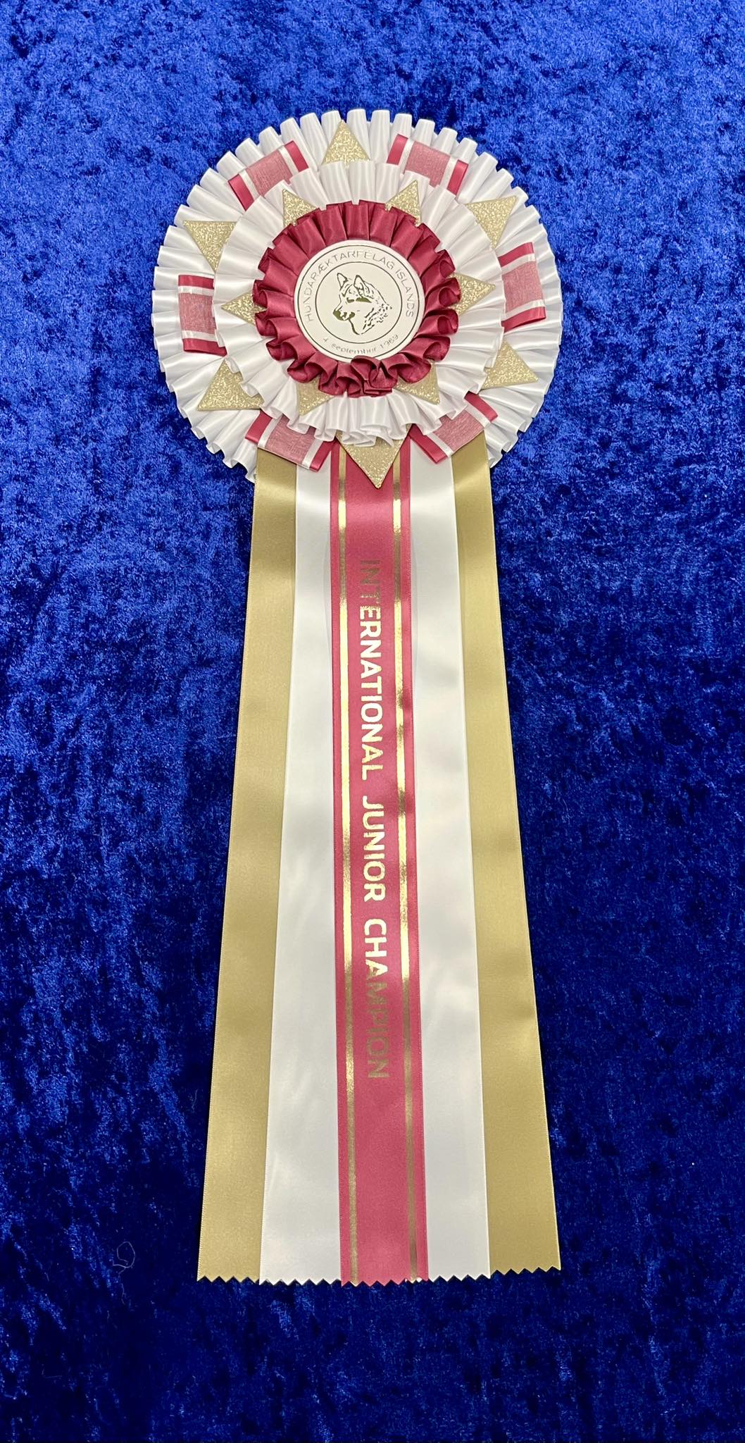 Alþjóðlegur ungliða meistari (International junior champion)