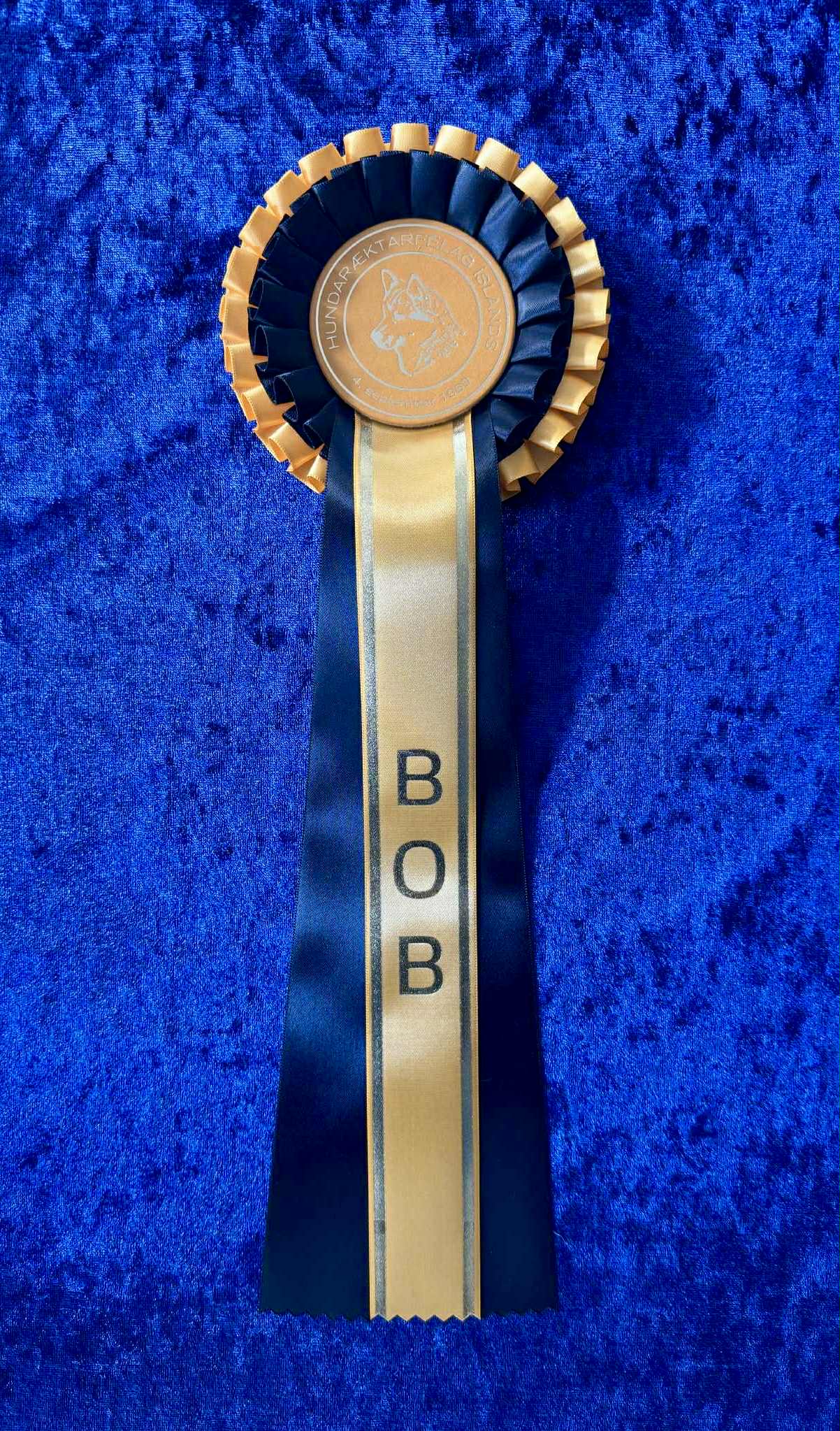 BOB gul/svört
