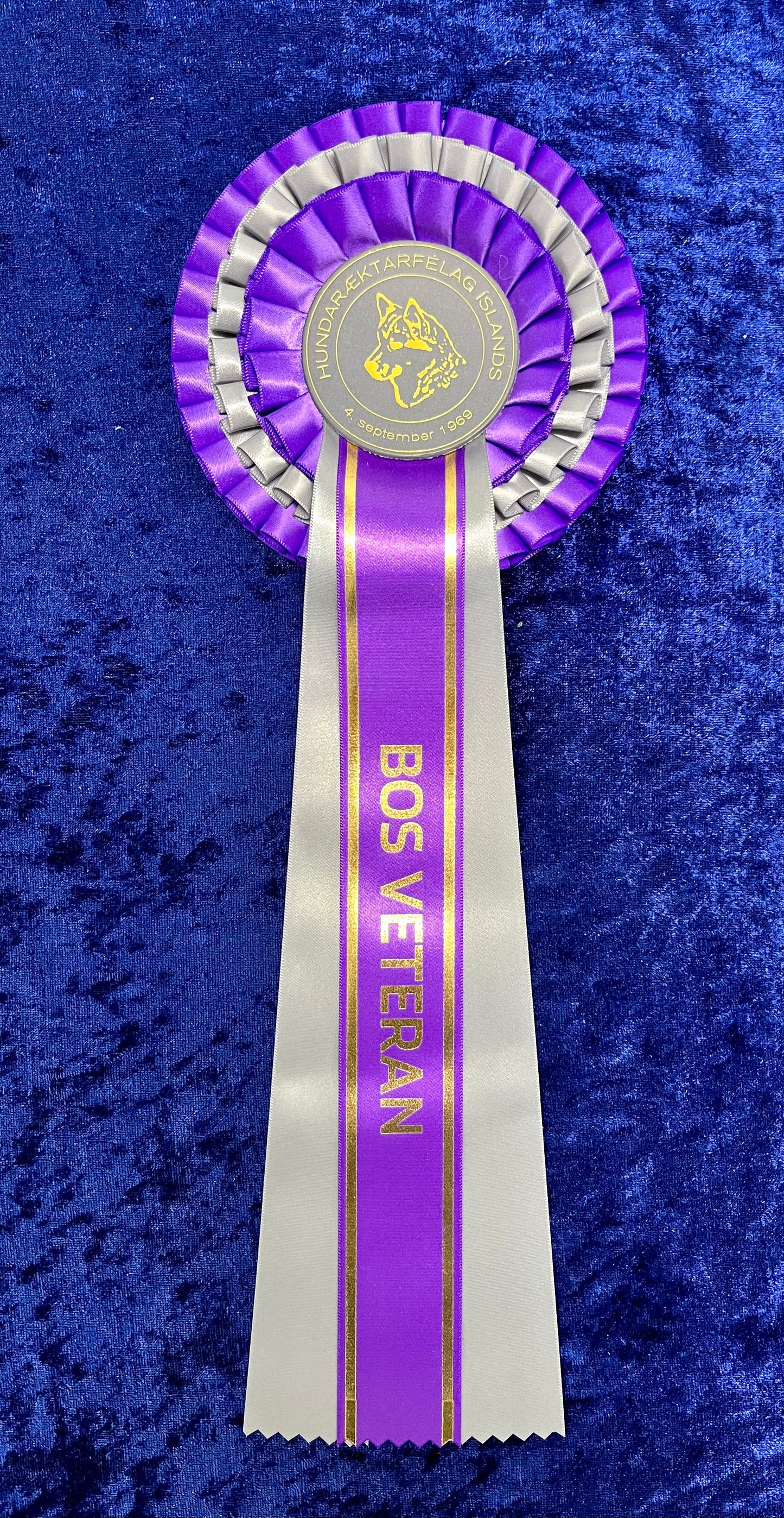 Besti öldungur af gagnstæðu kyni (BOS veteran)