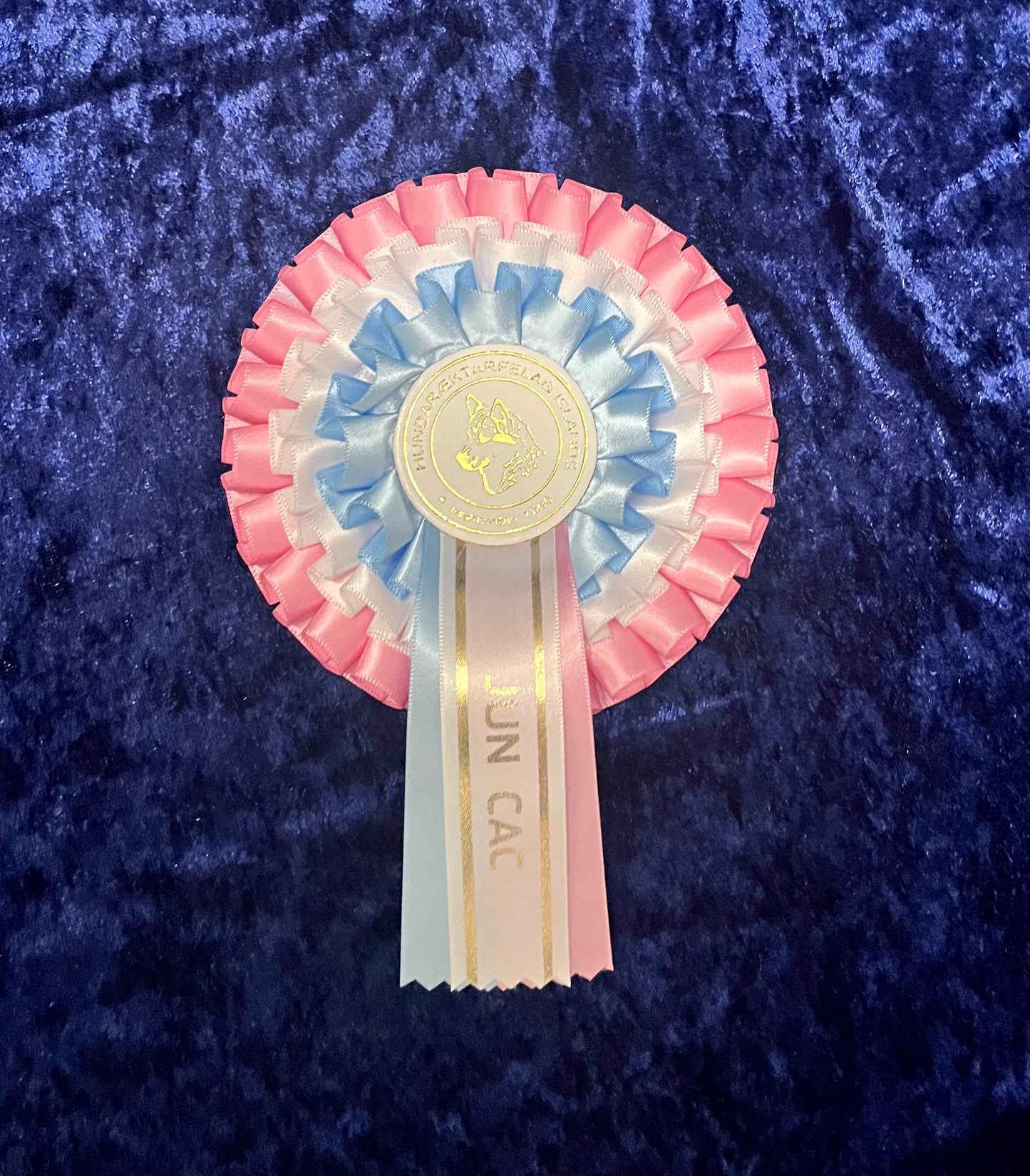 Íslenskt ungliða meistarastig