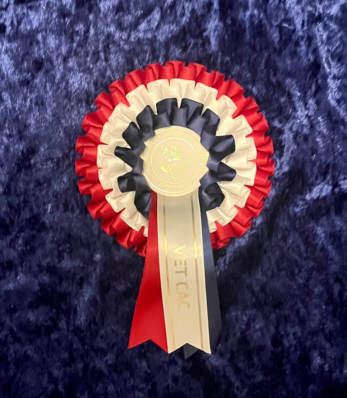 Íslenskt öldunga meistarastig