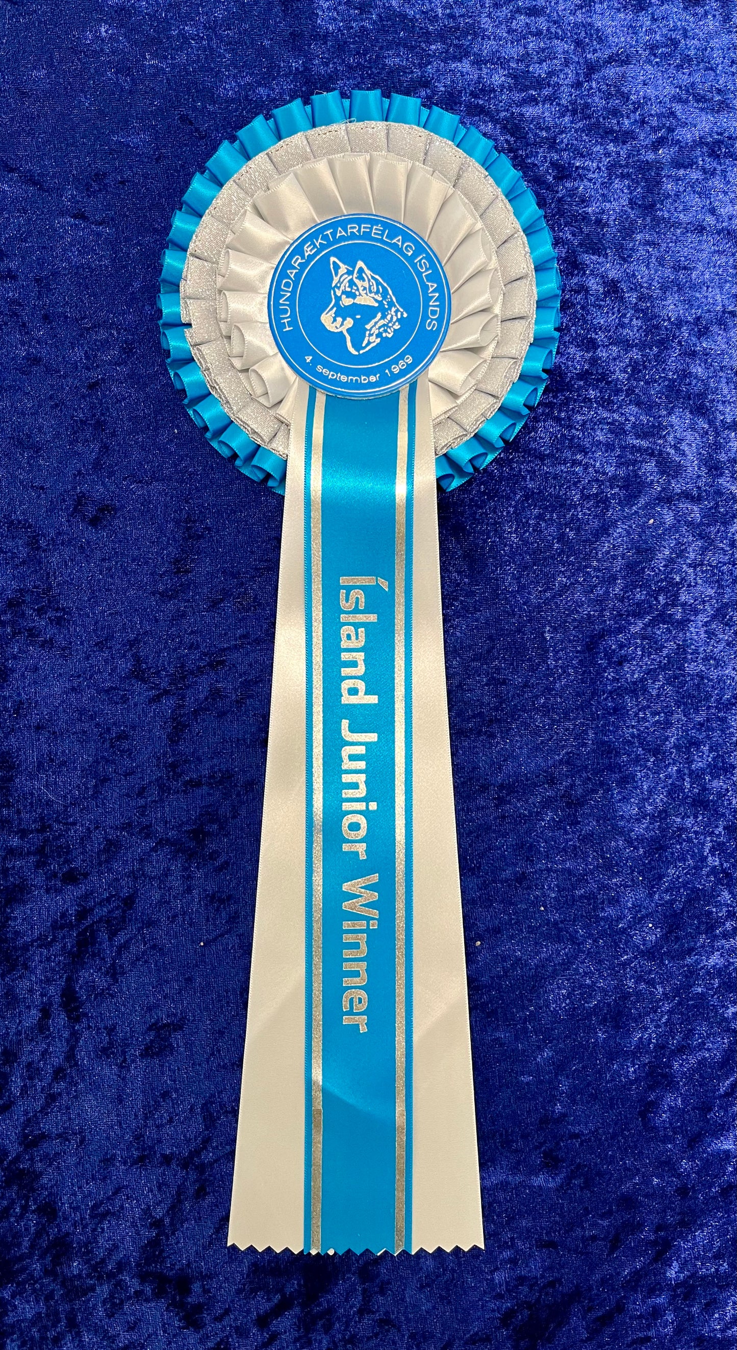 Ísland Junior Winner