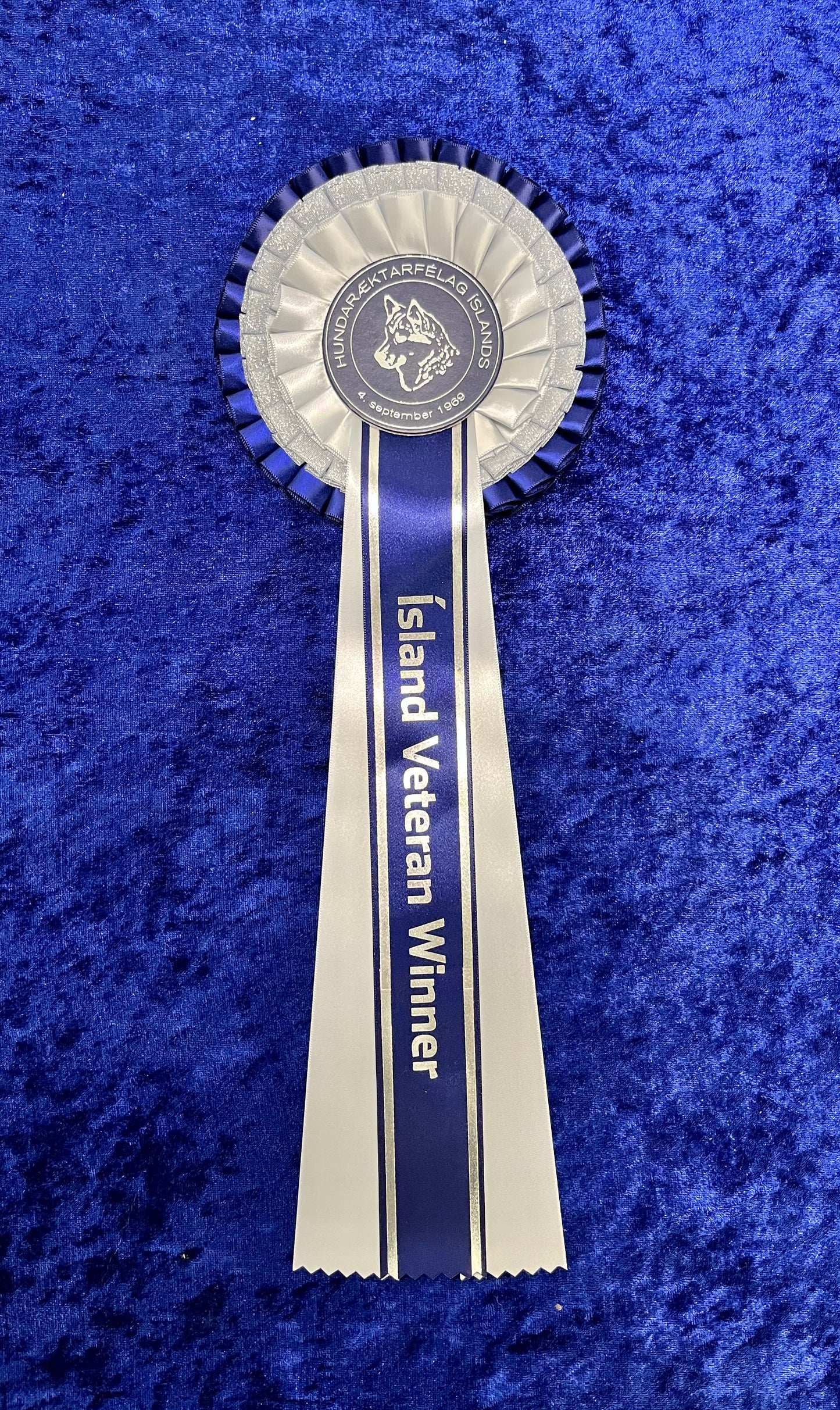 Ísland Veteran Winner