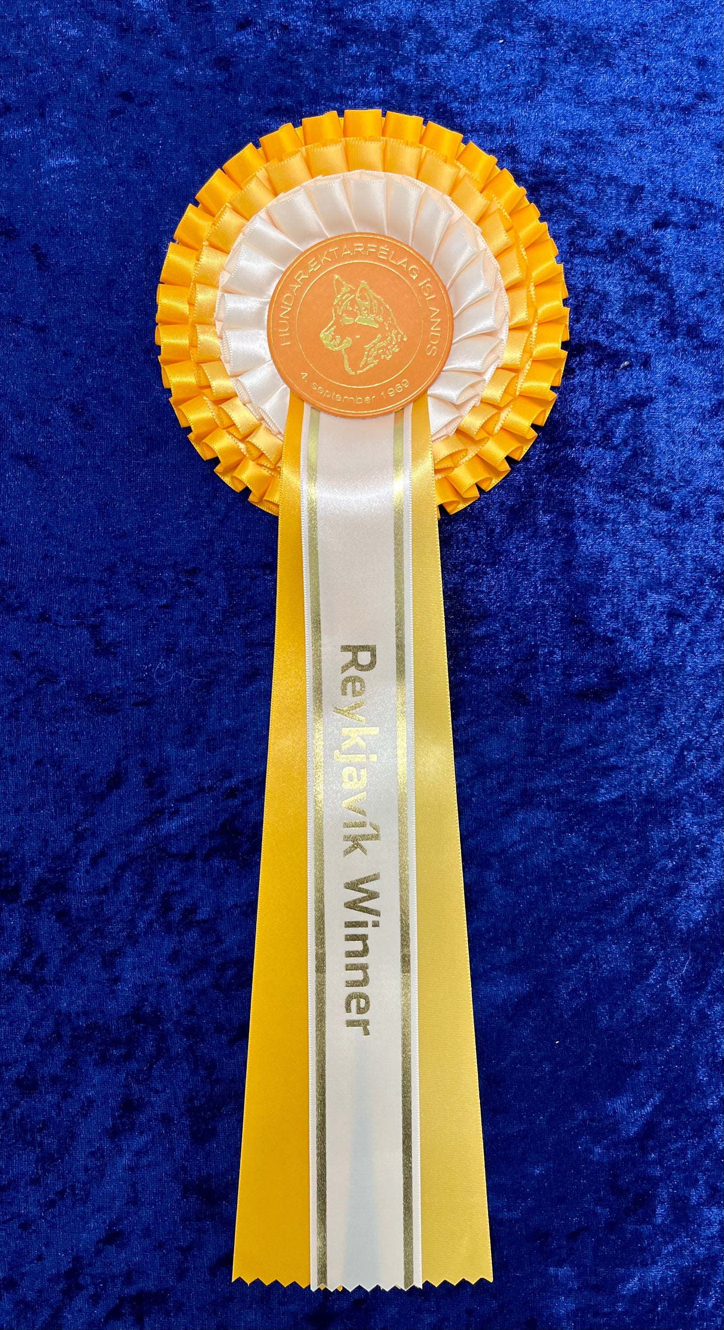 Reykjavík Winner