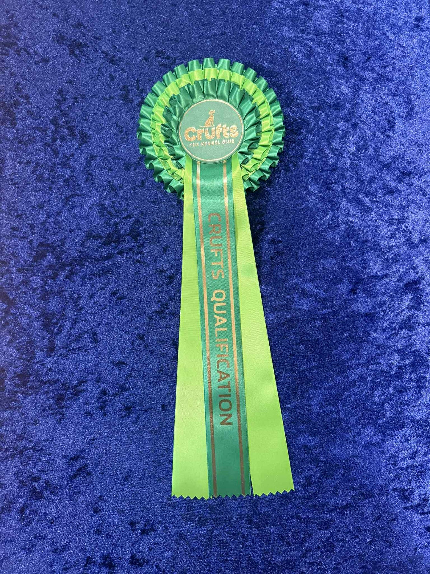 Crufts Qualification