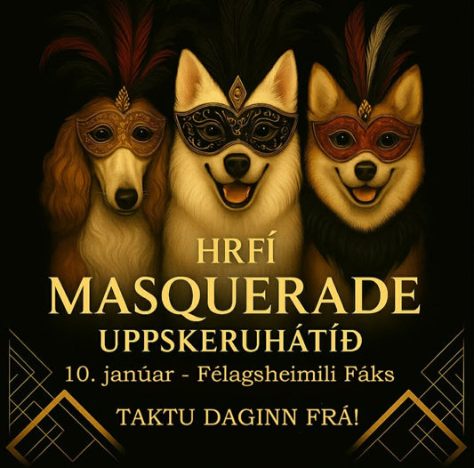 Masquerade uppskeruhátíð HRFÍ!