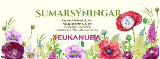 Júní sumarsýningar HRFÍ 13.-14. júní - Upplýsingar