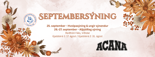 Haustsýning HRFÍ - Hvolpasýning 25. september og alþjóðlegsýning 26.-27. september