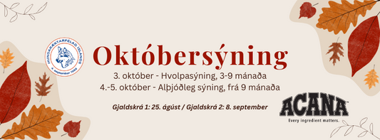 Haustsýning HRFÍ - Hvolpasýning 3. október og alþjóðlegsýning 4.-5. október