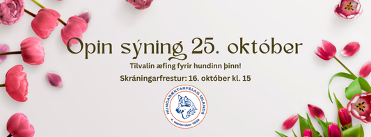 Opin sýning í október – tilvalin æfing fyrir hundinn þinn!