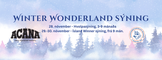 Winter Wonderland sýningin 28.-30. nóvember - Upplýsingar