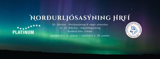 Norðurljósasýning 20.-22. febrúar - Skráning hafin