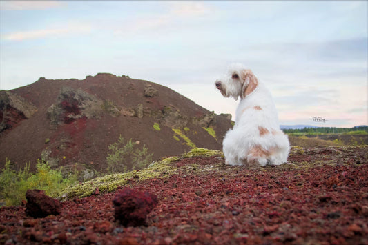 Góðar fréttir frá Alþingi - Breytingar á lögum um fjöleignarhús