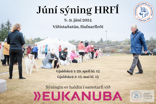 Reykjavík Winner sýning 8.-9. júní - Dagskrá