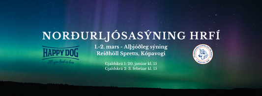 Norðurljósasýning - 1.-2. mars