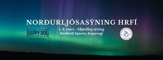 Norðurljósasýning 1.-2. mars - Dagskrá