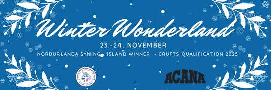 Winter Wonderland & Ísland Winner um helgina!