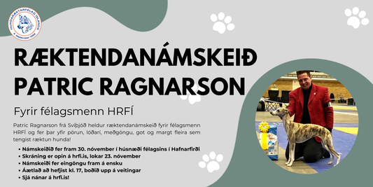 Ræktendanámskeið 30. nóvember