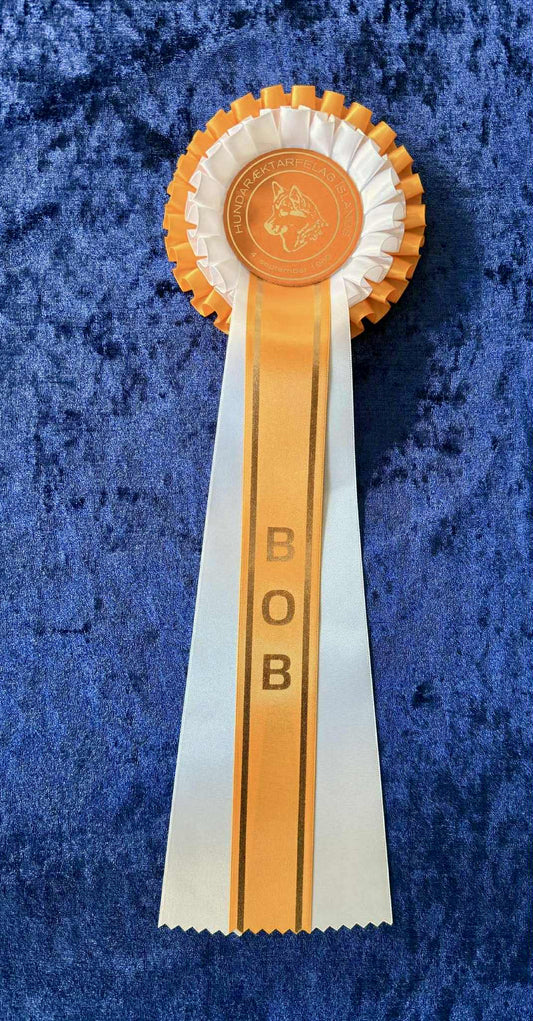 BOB ljós appelsínugul/hvít