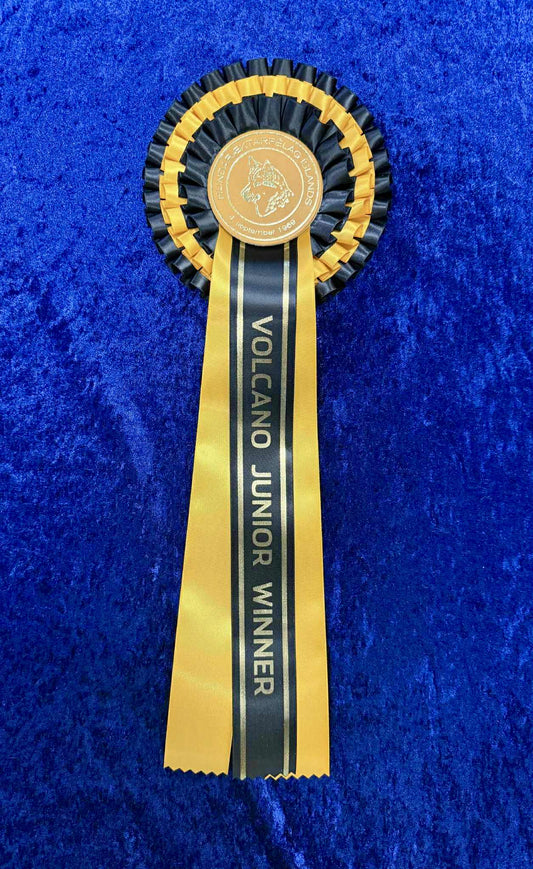 Volcano Junior Winner