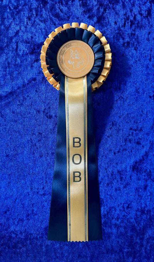 BOB gul/svört