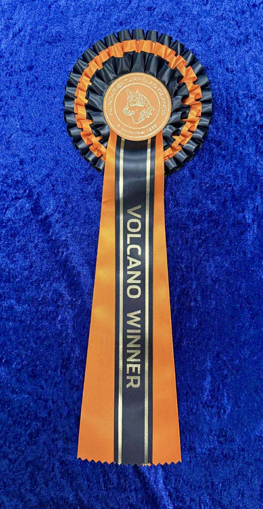 Volcano Winner